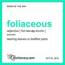 Foliaceous Word Of The Day October 3 2019 Old English Words Word Of The Day Dictionary Words