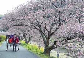 Последние твиты от 夏色まつり🏮2nd (@7216_2nd). æ²³æ´¥æ¡œãŒæ—©ãã‚‚è¦‹é ƒ ã‚³ãƒ­ãƒŠå½±éŸ¿ã§ã‚¤ãƒ™ãƒ³ãƒˆã¯ä¸­æ­¢ ç¸®å° ç¤¾ä¼š ãƒ‹ãƒ¥ãƒ¼ã‚¹ èª­å£²æ–°èžã‚ªãƒ³ãƒ©ã‚¤ãƒ³