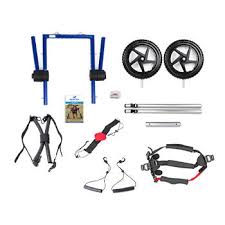 Image result for invalid dog wheelset