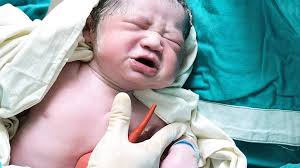 Barn inte något du kan beställa”