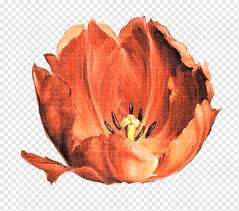 Dec 13, 2019 · caylin harris. Flower Painting Canvas Print Gallery Wrap Flower Pattern Watercolor Painting Orange Decoupage Png Pngwing