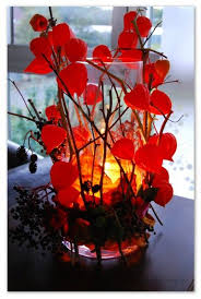 Diy Herbstdekoration Kathi S Zauberwald Herbst Dekoration Herbst Dekor Diy Lampionblume