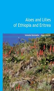 Image result for Eriocaulon abyssinicum