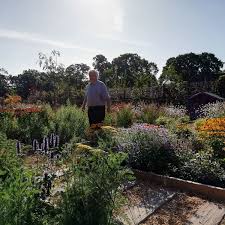 Pin On Garden Design Ideas