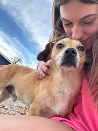 Can you help me find these two little guys' home?