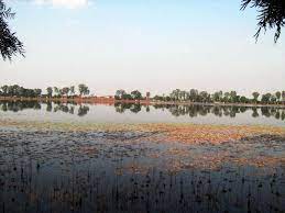 The landmark of the town, the sibsagar lake is also an artificial lake built by queen ambika, wife of king shiva singha, in the year 1734. Sibsagar Lake Sibsagar Sibsagar Lake Photos And Timings