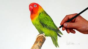 Ideal for vibrant artwork and photo… Gold Fish A Realistic Drawing With Simple Colored Pencils Youtube