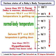 28 described normal baby temperature chart