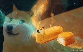 What happens when you mix the bizarrely hilarious shibe meme with animated gifs? Steam Community Doge Gif