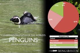 Chart The Worlds Most Endangered Penguins