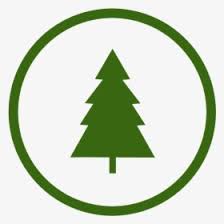 Download Pine Tree Silhouette Png Images Transparent Pine Tree Silhouette Image Download Pngitem