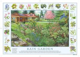 For a small zen garden, purchase white sand at pet stores, the kind used for saltwater aquariums. How To Build A Rain Garden Plants Designs The Old Farmer S Almanac