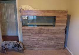 55 Gallon Aquarium Build Fish Tank Stand Modern Fish Tank 55 Gallon Aquarium Stand