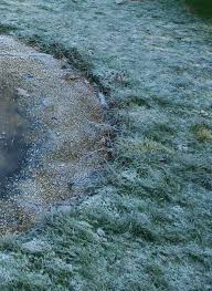 This particular product is ideal for lining ponds, waterfalls, and even streams. Edging The Pond The Garden Pond Blog