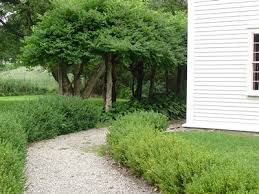 Crushed Limestone Walkway Crushed Limestone Landscape Design Stone Walkway