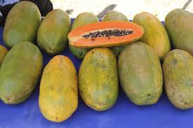 Image result for pepaya