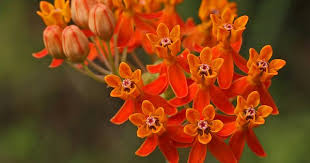 Pin On Reference Photos