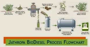 Biodiesel Process Flowchart Jpg Members Gallery