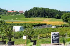 why spending a day at jucker farm is a hit for all ages farm foodie heaven switzerland travel