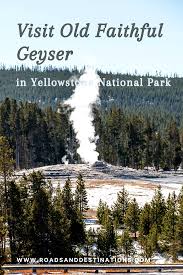 Any time of year, there are engaging activities that provide something to did you know that old faithful is the most famous geyser on earth, yet it's not the tallest geyser in the park? Visit Old Faithful In Yellowstone Complete Guide Tips And Facts Roads And Destinations
