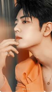 Border Collie dog photos and owners