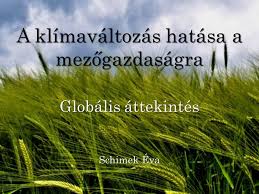 A klímaváltozás korábban már emberfajokat törölt el a föld színéről. A Klimavaltozas Hatasa A Mezogazdasagra Ppt Letolteni