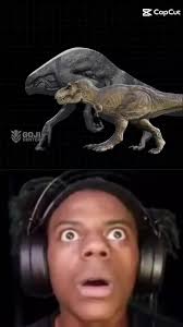 How Tall Was The D Rex Standing Up