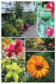 5 Flowers That Are Dead Simple To Grow From Seed The Impatient Gardener Easiest Flowers To Grow Growing Seeds Flower Pots