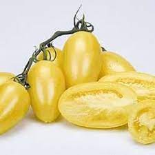 Cream Sausage Tomato Seed Tomato Seeds Vegetable Seed Heirloom Tomato Seeds