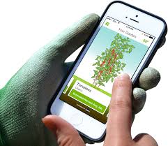 Grab Your Phone And Grow Something Sprout It Is A Free App For Ios That Helps You Grow Your Own Herbs And Veggies Gardening Apps Backyard Crafts Tomato Garden