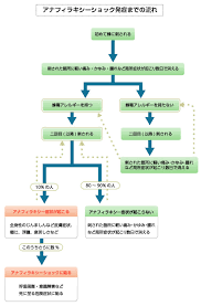 道模型 車・バイク プラモデル ミニ四駆 プラモデル 工具・塗料・材料 工具 塗料 材料 キャラクターグッズ コレクショントイ,食玩 ファッション メンズファッ. ã‚¢ãƒŠãƒ•ã‚£ãƒ©ã‚­ã‚·ãƒ¼ã‚·ãƒ§ãƒƒã‚¯ã®ç—‡çŠ¶ å¯¾å‡¦ç™‚æ³•ã‹ã‚‰æ³¨æ„äº‹é …ã¾ã§ã®ã¾ã¨ã‚