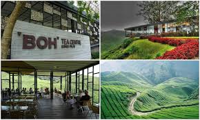Rose center has more than roses. 11 Charming Attractions That You Need To Visit In Cameron Highlands Klnow