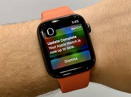 How To Install Watchos 6 1 2 Beta 1 On Apple Watch Apple Watch Computer Security Apple