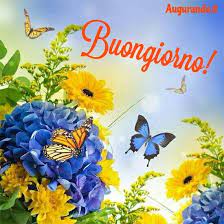 Pin Di Viviana Su Buon Giorno Buongiorno Immagini Buongiorno Immagini