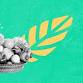 Limestone Permaculture Presentation - Nourish to event image