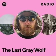 The Last Gray Wolf