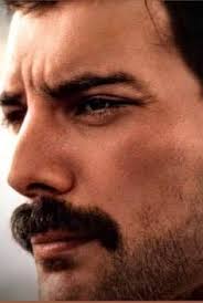 830 FREDDIE MERCURY ideas