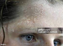 529 Michael Brow Stock Photos, High-Res Pictures, and Images