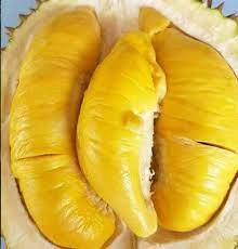 Keunggulan durian musangking asli pahang malaysia ini. Gara Gara Virus Corona Harga Durian Turun Drastis