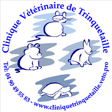 Clinique vétérinaire de Trinquetaille à Arles, Bouches du Rhone