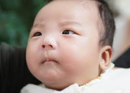 New photo added to "Camera Roll"