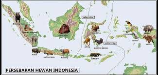 Check spelling or type a new query. Peta Persebaran Flora Dan Fauna Di Indonesia Gambar Flora Dan Fauna Flora Hewan