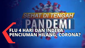 Cara mengembalikan indra penciuman dengan bawang putih. Sehat Di Tengah Pandemi Flu 4 Hari Dan Kehilangan Indera Penciuman Apakah Covid 19 Youtube