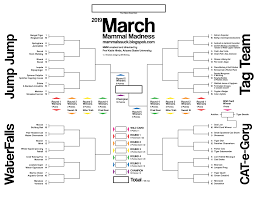 When does match madness 2019 start? March Mammal Madness Is The Bracket For Animal Lovers Everywhere The Verge
