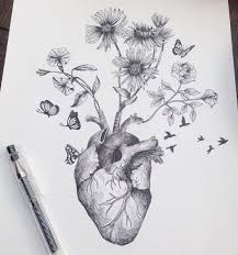 Natura fiori ibisco 2 jpg fiori disegnati a matita disegno di fiori tatuaggio latino. Cuore Fiori Farfalle E Uccelli Disegno A Penna Disegni A Inchiostro Schizzi D Arte