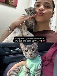 Fundraiser by Jamelee Vega : Urgent Surgery for Ava: Your Support Matters