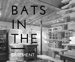 The bats will continue to control the insect populations yet not be a risk to humans. How To Get Rid Of Bats In The Basement Get Bats Out