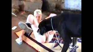 Top catégories porno porno français. Zoophilie Chien Le Meilleur Des Film Zoophilie Avec Des Chiens Et Des Chevaux