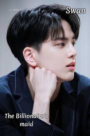 THE BILLIONAIRE'S 😤 MAID🔥🔥 (Melting his icy heart..💋) THEME: Am I your  maid or heartbeat😎 DROP A LONG COMMENT AND SHARE FOR NEXT CHAPTER 💜 By;  Irish's library Chapter 25& 26 "Was