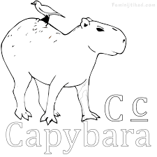Easy Capybara Coloring Pages Free Coloring Sheets Animal Coloring Pages Coloring Pages Capybara
